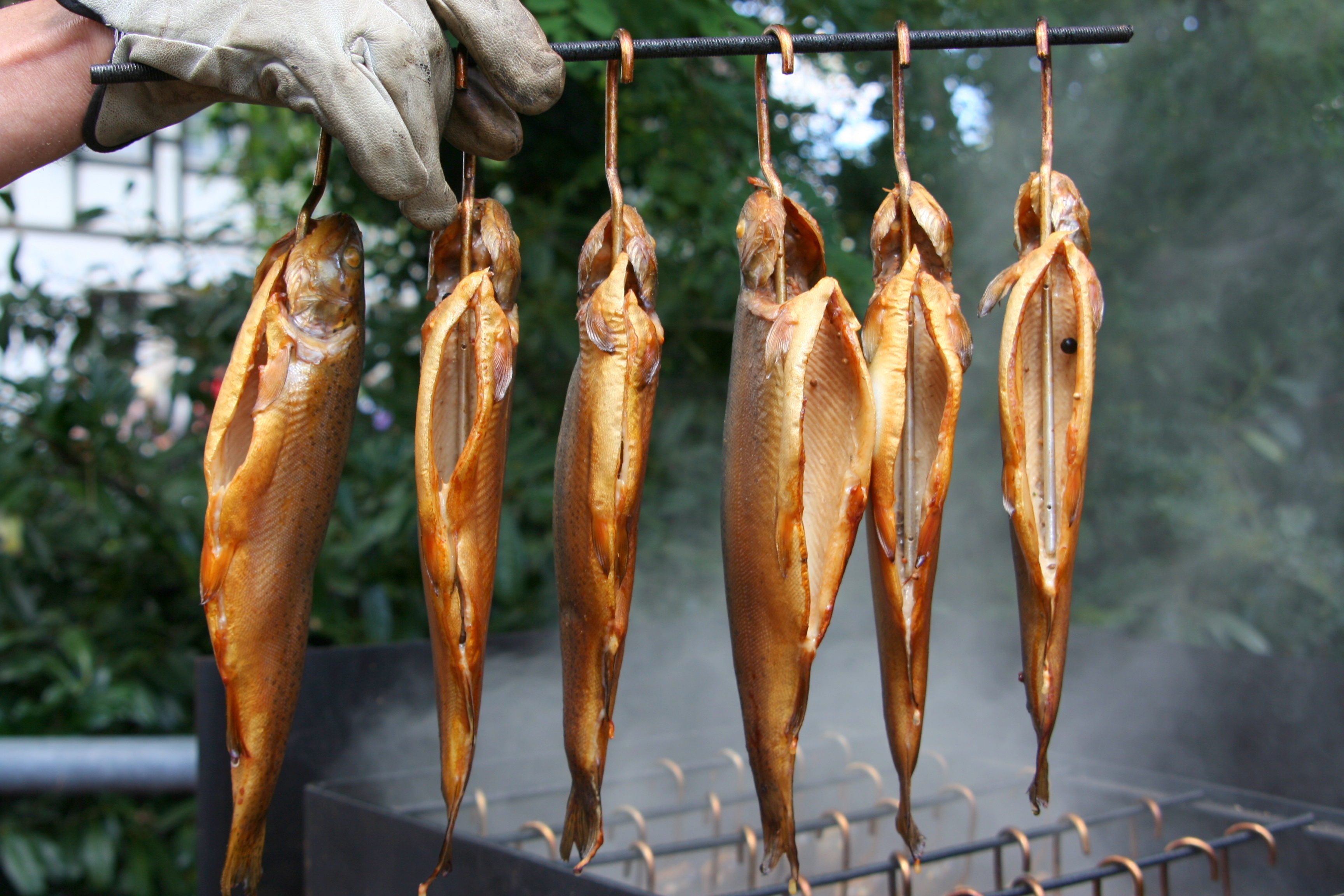 Räucherforelle über Erlenholz geräuchert, ca 300-350g Stück Räucherfisch 